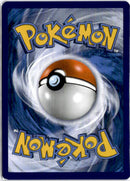 pokemon_karten_charizard_holo_evo_011_englisch_back