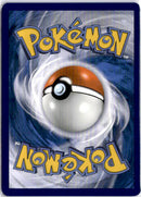 pokemon_karten_zoroark_illustration_rare_wht_143_englisch_back