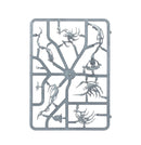 warhammer-age-of-sigmar-nighthaunt-spirit-hosts-inhalt-3