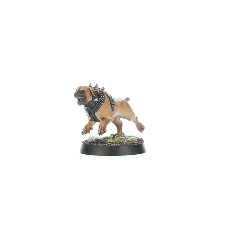 warhammer-age-of-sigmar-spearhead-cities-of-sigmar-fusil-platoon-wildercorps-hunters-4