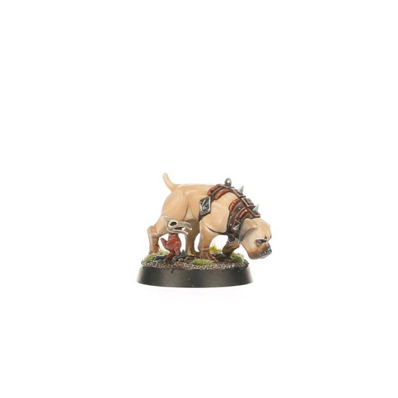 warhammer-age-of-sigmar-spearhead-cities-of-sigmar-fusil-platoon-wildercorps-hunters-5