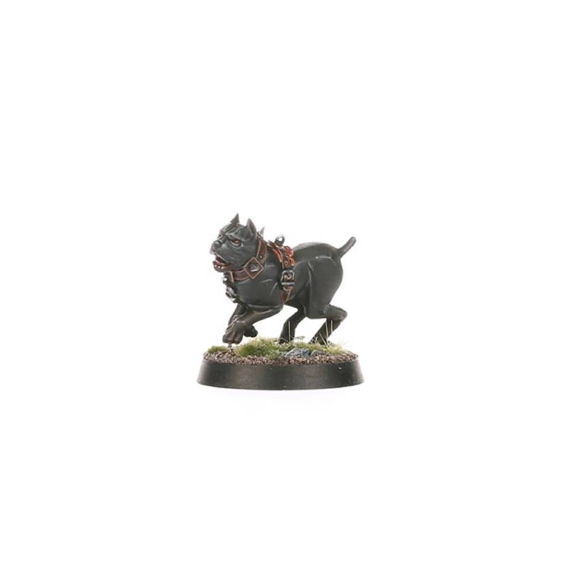 warhammer-age-of-sigmar-spearhead-cities-of-sigmar-fusil-platoon-wildercorps-hunters-6