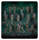 warhammer-age-of-sigmar-spearhead-ossiarch-bonereapers-kavalos-vanguard-set-beispiel