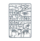 warhammer-age-of-sigmar-spearhead-soulblight-gravelords-deathrattle-tomb-host-inhalt-2