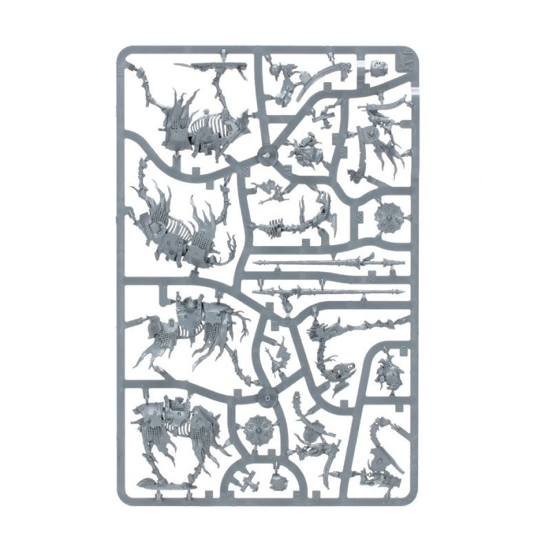 warhammer-age-of-sigmar-spearhead-soulblight-gravelords-deathrattle-tomb-host-inhalt-3