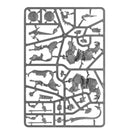 warhammer-age-of-sigmar-stormcast-eternals-dracothian-guard-inhalt-3