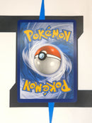 Arrokuda SHFSV31 EN EX