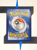 Arrokuda SHFSV31 EN EX