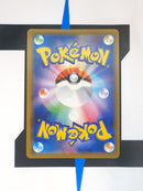 Arrokuda SHFSV31 EN EX