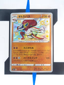 Acerola BUS142 EN EX